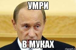 485x320