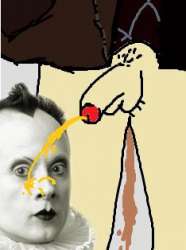 234x314