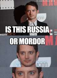 432x589
