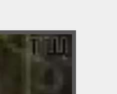 234x189