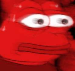 246x232