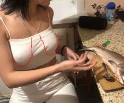 577x481