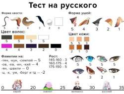 720x550
