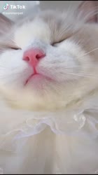 576x1024