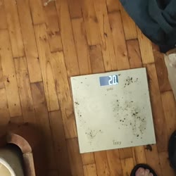 720x720