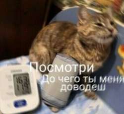 400x368