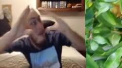 360x202