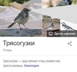 364x342