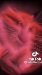360x640