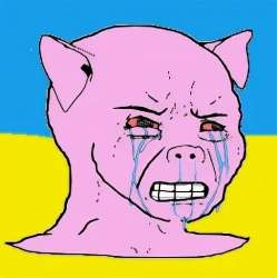 524x526