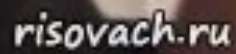 236x54
