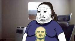 500x277