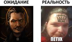1427x838