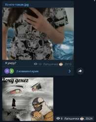 429x547