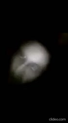 500x890