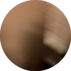 384x384
