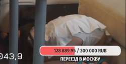 487x250