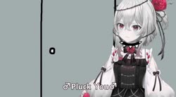 1096x608