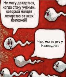 634x736