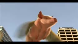 480x272