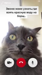 540x960
