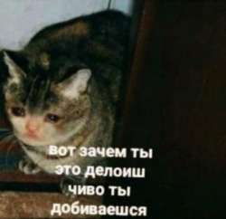 411x399