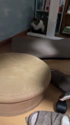540x960