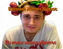 562x444
