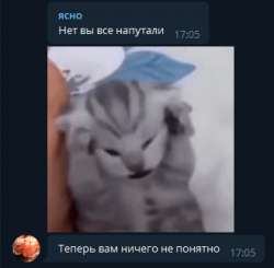 329x323