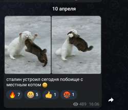 720x620
