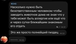 1242x730