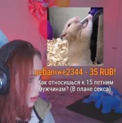 534x536