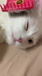 720x1280