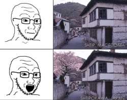 680x535