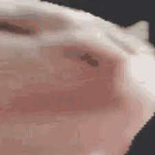 225x225