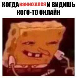 1074x1080