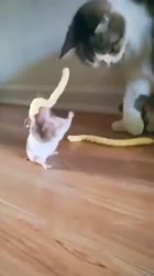 360x640