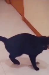 320x480