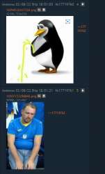 489x806