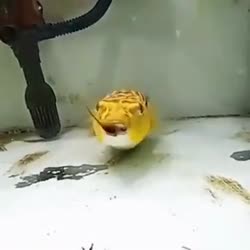 360x360