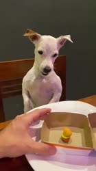 406x720