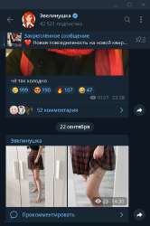 584x877