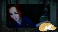 640x360
