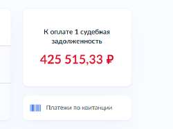 449x336