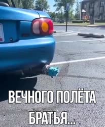 464x560