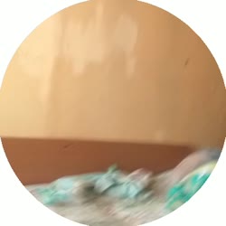 384x384