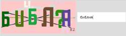 567x165