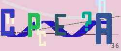 269x115