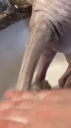 720x1280