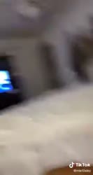 256x480
